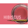 MIYO STAIN HIBISCUS PASTE 4G