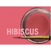 MIYO STAIN HIBISCUS PASTE 4G