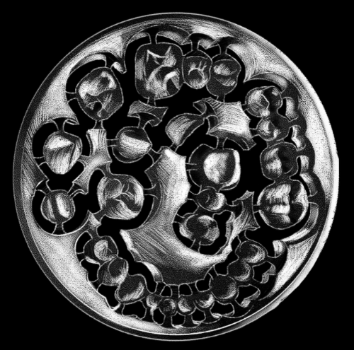 Disc pritidenta