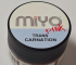 MIYO Gingival Trans Carnation paste