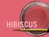 MIYO STAIN HIBISCUS PASTE 4G
