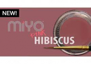 MIYO STAIN HIBISCUS PASTE 4G
