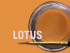 MiYO Trans lotus fluor. paste