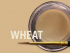 MiYO Mamelon wheat fluor. paste